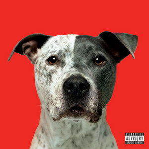 FLIGHT cover