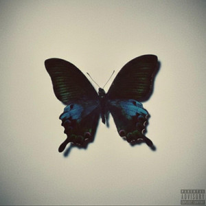 butterfly by soka, Glo