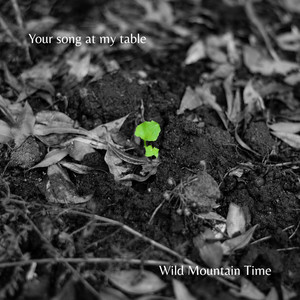 Your song at my table by Wild Mountain Time