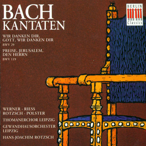 Bach: Cantatas - BWV 29, 119 album