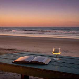 Playa, libros y brisa by Vikingo Booster