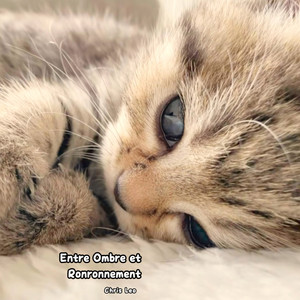 Catnap Over the Horizon