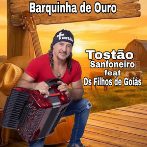 Barquinha de Ouro by Tostão Sanfoneiro, Os Filhos De Goiás