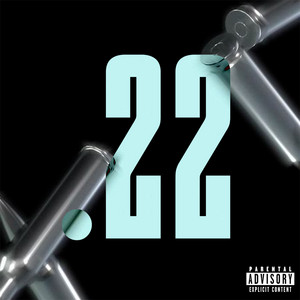 Portada de .22