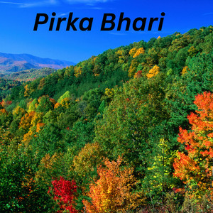 Dhumsh Music - Pirka Bhari