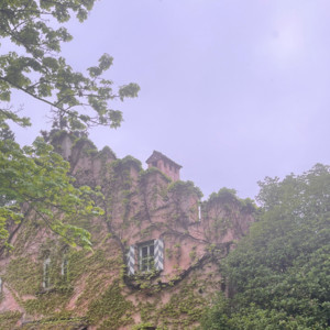 Merano by Pepper, NNIK