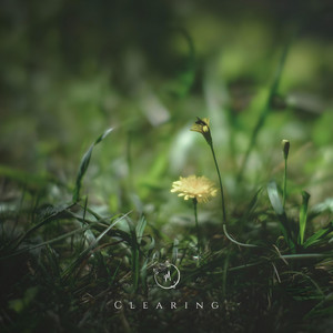 Clearing by Miaquirele