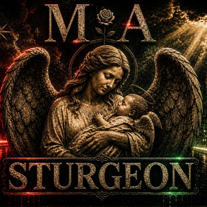 in-w-reld-vol-biljoene-song-and-lyrics-by-sturgeon-spotify