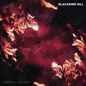 Grapevines by Blackbird Hill