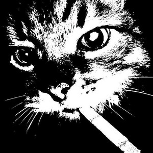 Complicated by Litmiau