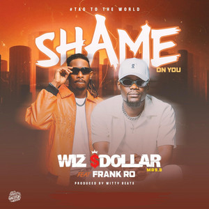 Shame On You by Wiz Dollar Mr9.8, Frank Ro