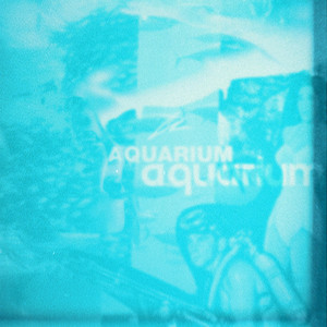 Aquarium by Carter Reeves