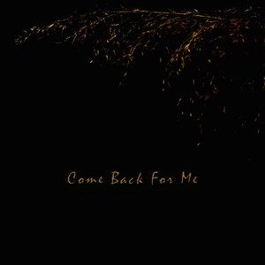 Come Back For Me by Uboka