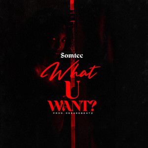 What u want by Somtee