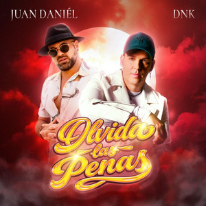 OLVIDA LAS PENAS