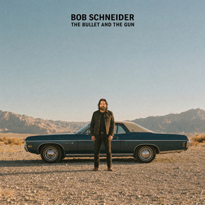 Hearts Got a Hole in It by Bob Schneider