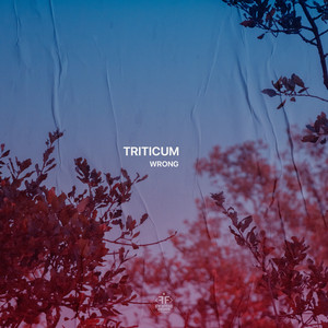Wrong by TRITICUM