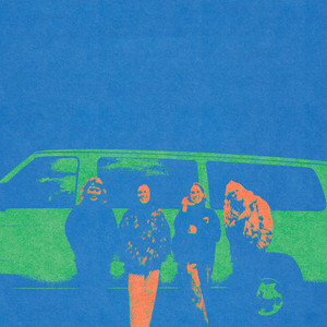 I Could Say Less by Chastity Belt