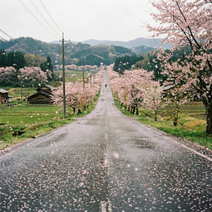桜舞う頃に by Oto Loom Music