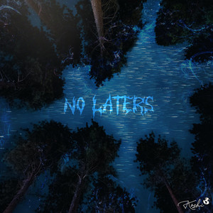 No Laters by Koshi