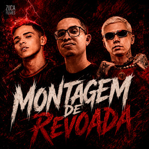 Montagem de Revoada