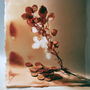Overdrawn by SLPSLIDE