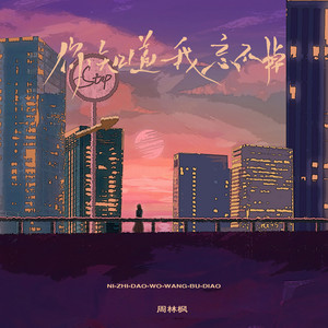 你知道，我忘不掉 by 周林楓