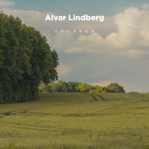 Ljusfält by Alvar Lindberg
