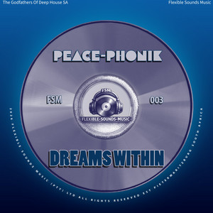 The Long Road by Peace-Phonik, The Godfathers Of Deep House SA, Flexible Sounds Music