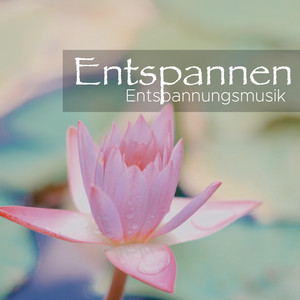 Entspannen: Entspannungsmusik für Kinder, Entspannung für Erwachsene cover