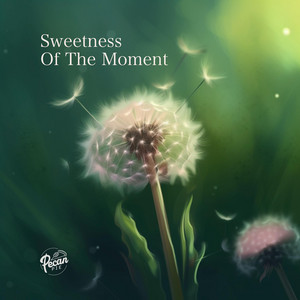 pecan pie - Sweetness of the Moment