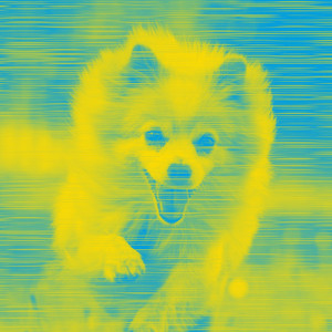 Smooth Jazz - Bgm for Calming Doggy Time album