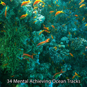 34 Mental Achieving Ocean Tracks album