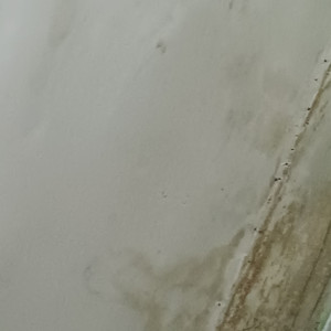 Gonzalez de marcos - Don’t Walk Away