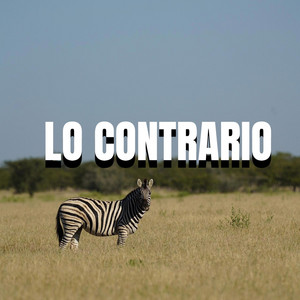 lo contrario by yayoki Album Cover