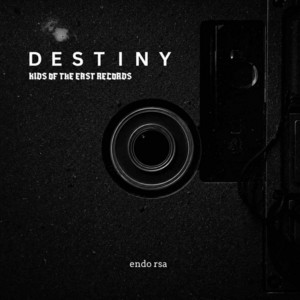 Destiny by endo rsa