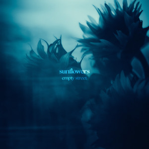 sunflowers by empty street