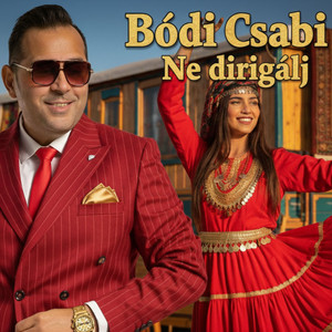 Ne dirigálj by Bódi Csabi