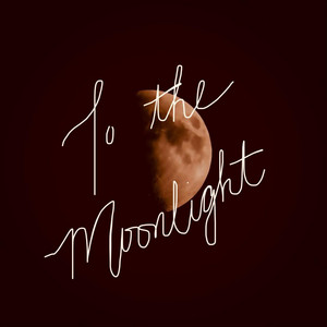 To the Moonlight by Lily Erin