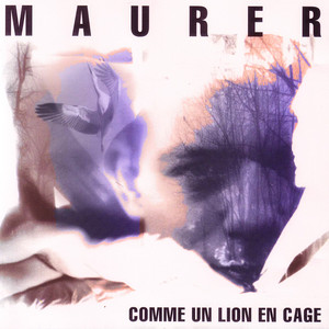 Maurer