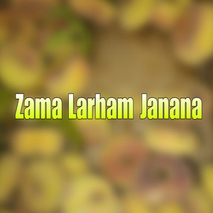 Tal Saleh - Zama Larham Janana