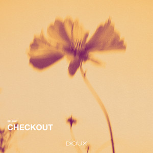 Checkout by Belmont