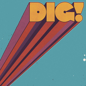 album cover: DIG!