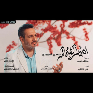 امير الضمائر by مهدي العبودي