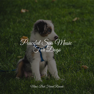 Peaceful Spa Music For Dogs album