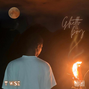 Zero Panic by T Wise