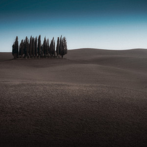 Brown Noise Roots by PXL PXL