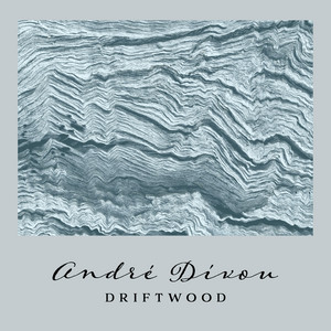Driftwood by André Dívou