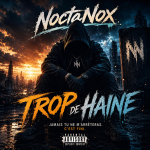 TROP DE HAINE by NoctaNox