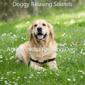 Ambiance for Relaxing Dogs album